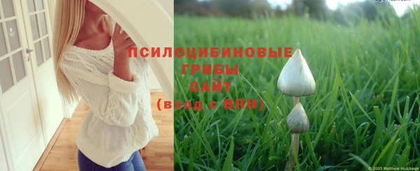 эйфоретик Алексин