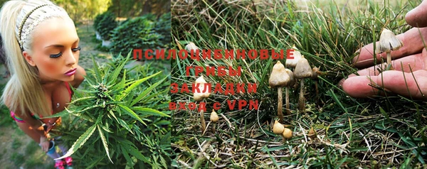 гашиш Аркадак