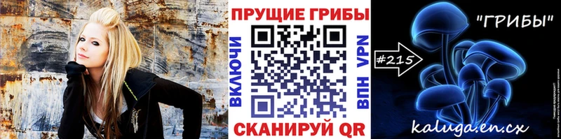 купить   Нарьян-Мар  Псилоцибиновые грибы Psilocybine cubensis 